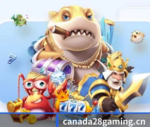 关于加拿大28(CANADA28)